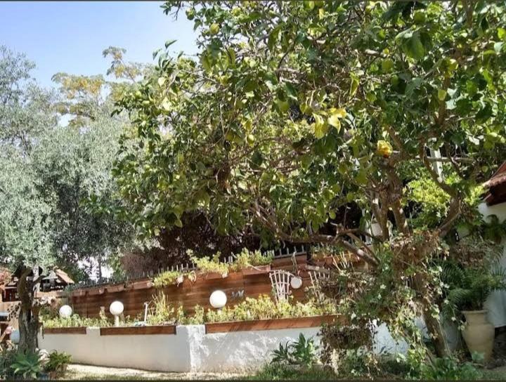 قيسارية Czarina Cabin הבקתה הקיסרית והדירה הקיסרית Czarina Apartment المظهر الخارجي الصورة
